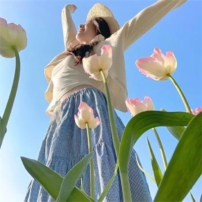 花果山传 海报