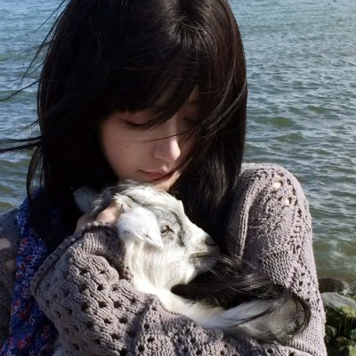 乡情 海报